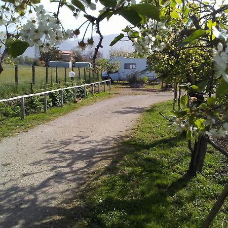 B&B Il Tiglio Padula Luaran gambar