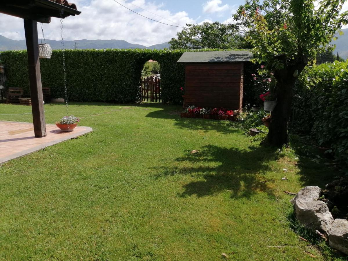 B&B Il Tiglio Padula Luaran gambar