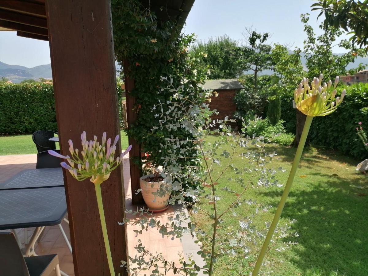 B&B Il Tiglio Padula Luaran gambar