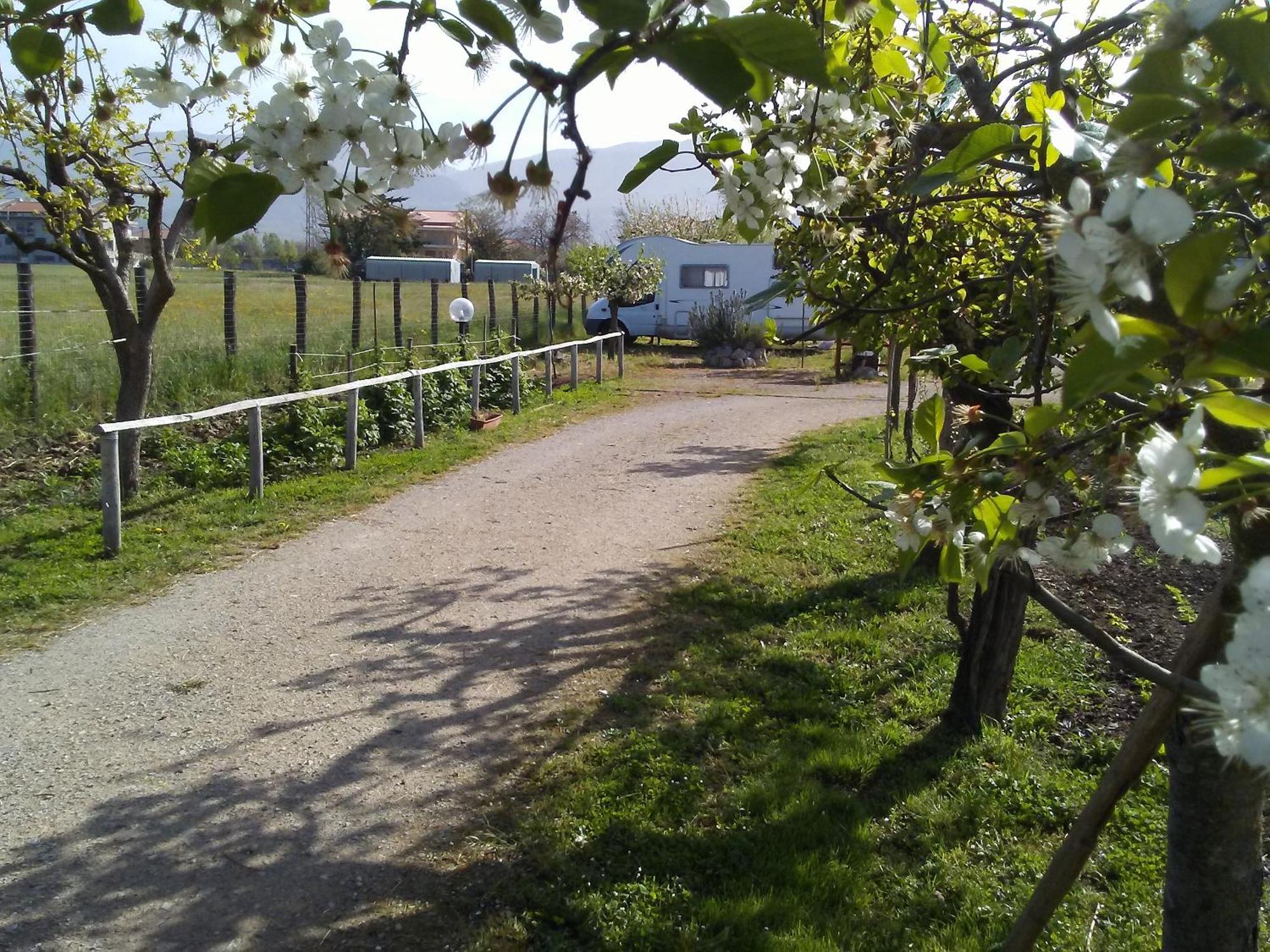 B&B Il Tiglio Padula Luaran gambar