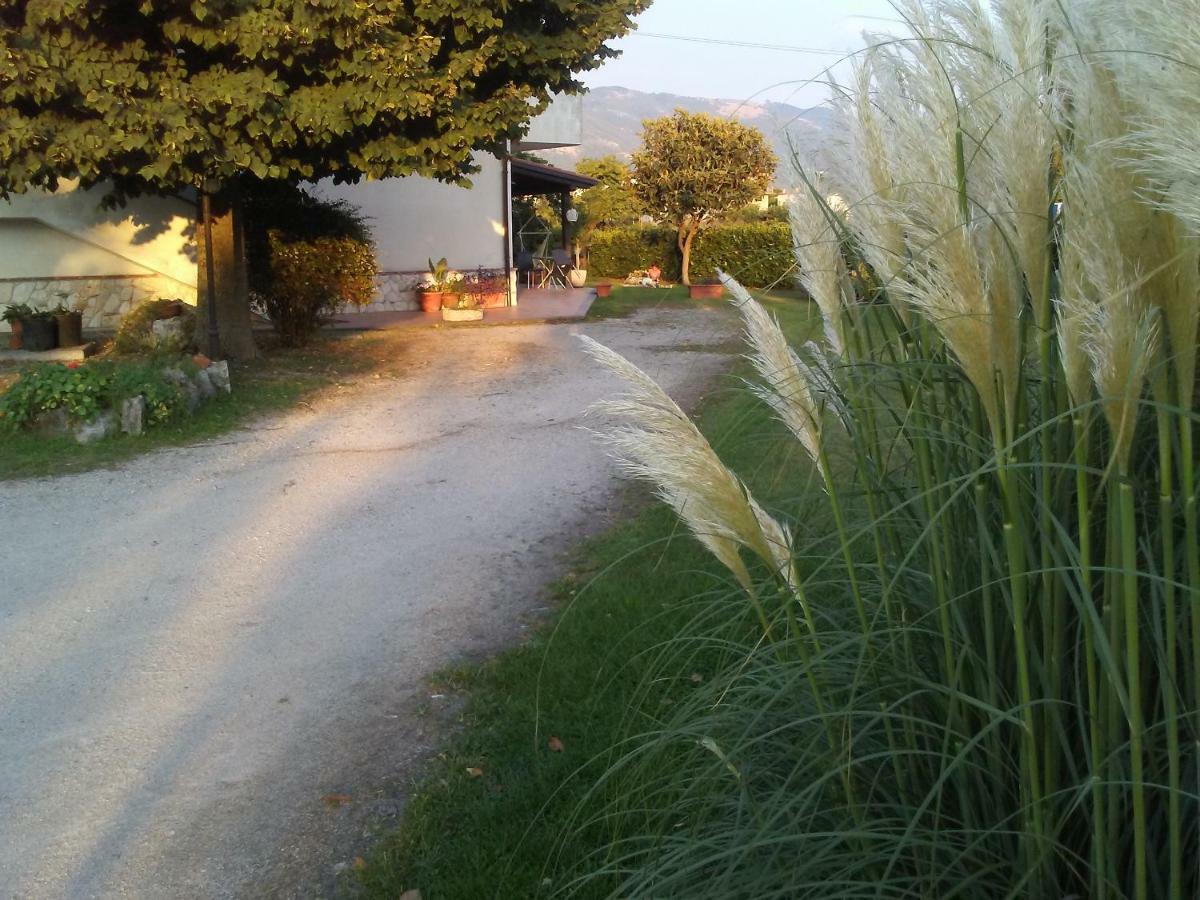 B&B Il Tiglio Padula Luaran gambar